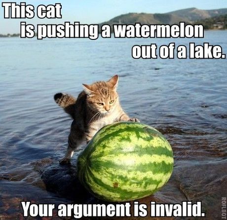Cat_pushing_watermelon_argument_invalid