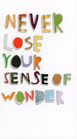Wonder