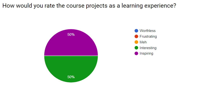Project_experience